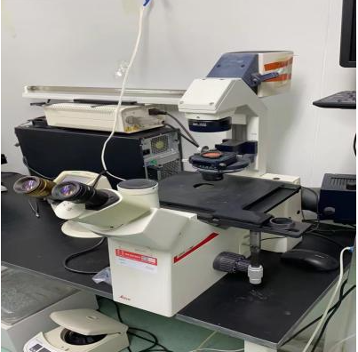 倒置荧光显微镜