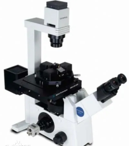 AR扫描探针显微镜