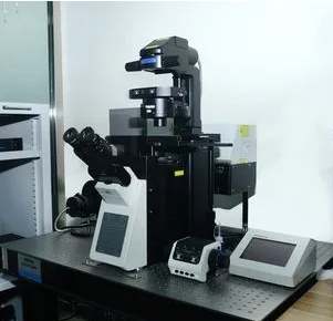 激光共聚焦(confocal)显微镜细胞实时成像系统