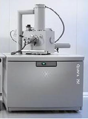 数字全息显微镜